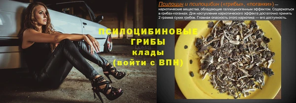 прущие крисы Богородицк