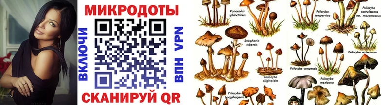 Купить  Алдан  Псилоцибиновые грибы Psilocybine cubensis 